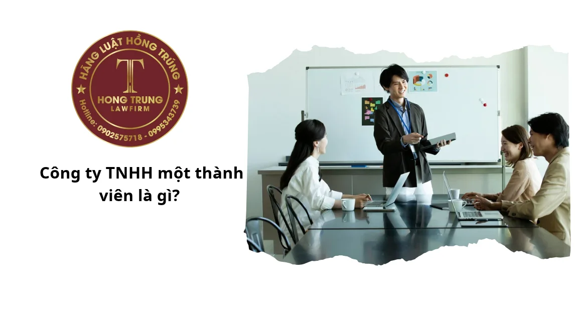 Công ty TNHH một thành viên là gì?
