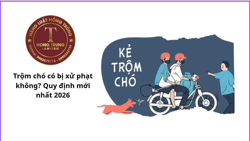 Trộm chó có bị xử phạt không?
