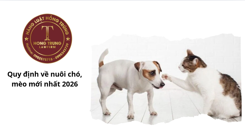 Quy định về nuôi chó, mèo mới nhất 2026