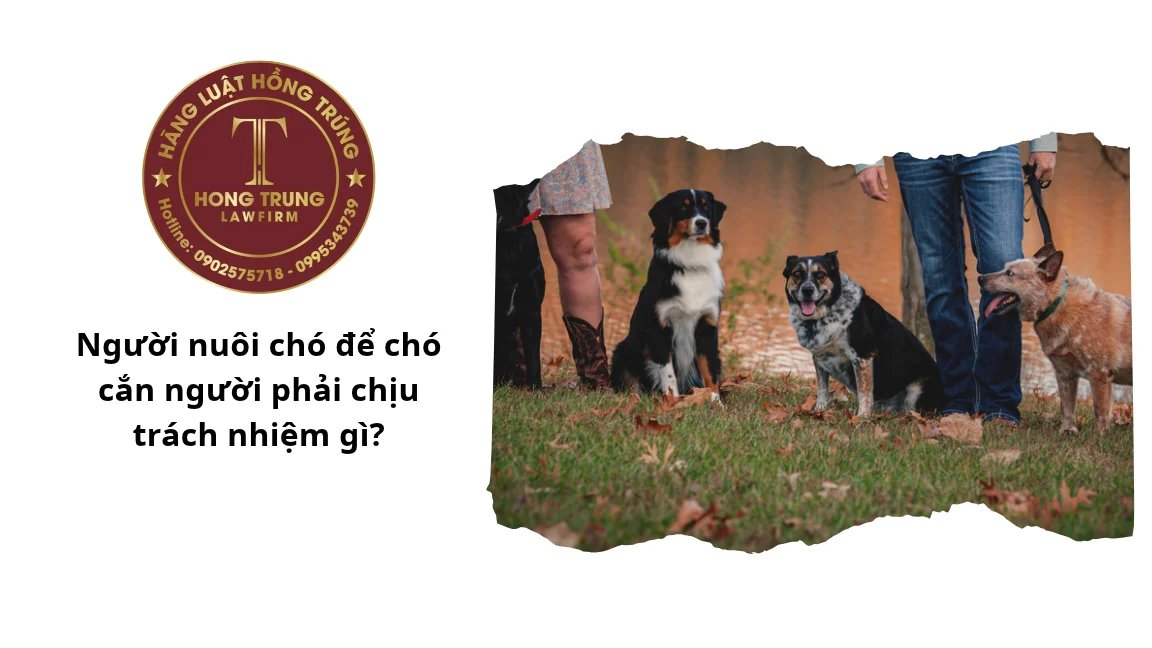Người nuôi chó để chó cắn người phải chịu trách nhiệm gì?