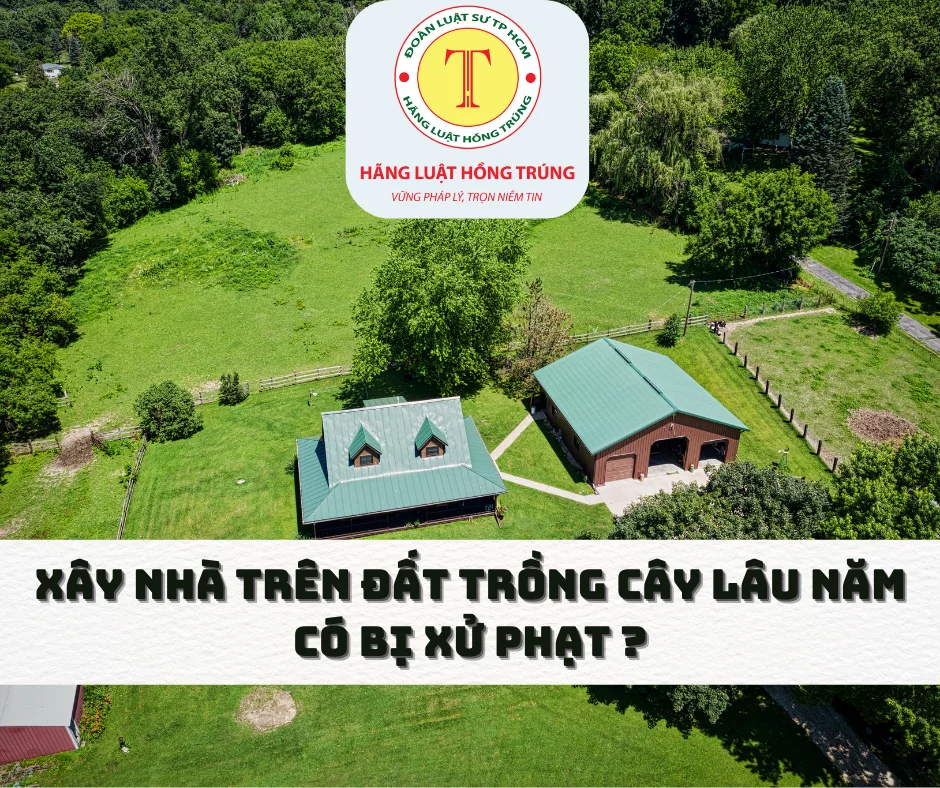 Xây nhà trên đất trồng cây lâu năm có bị xử phạt?