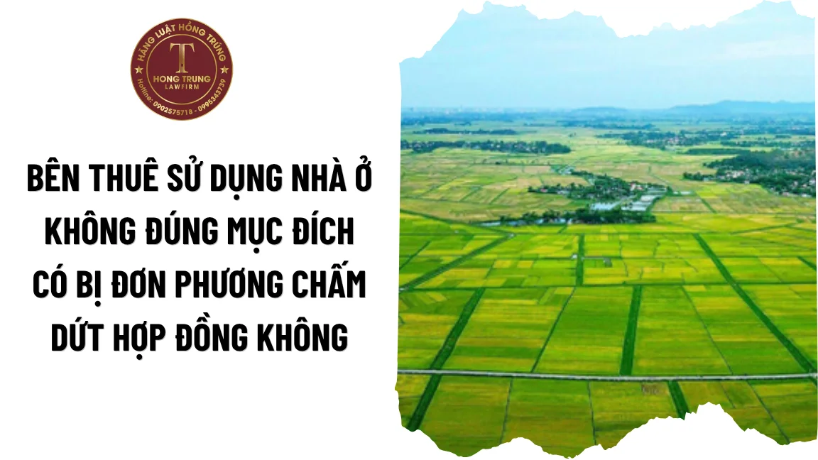 Bên thuê sử dụng nhà ở không đúng mục đích có bị đơn phương chấm dứt hợp đồng không?